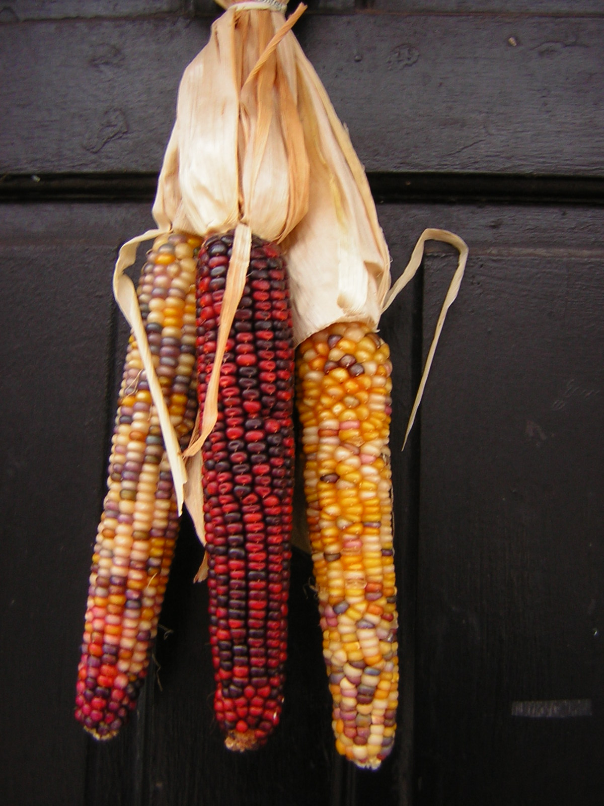 How To Hang Indian Corn On Door